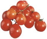 Cherry-Ramati 500g Schale