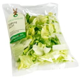 Eisbergsalat 250g