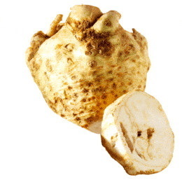 Sellerie Stück ca. 600g