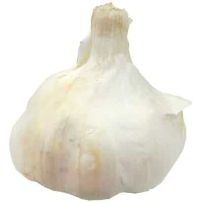Knoblauch Stk.
