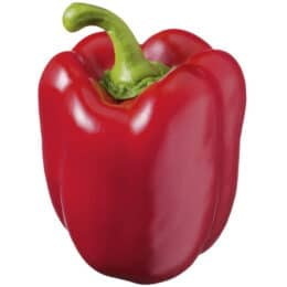 Peperoni Rot Stück ca. 150g - 250g
