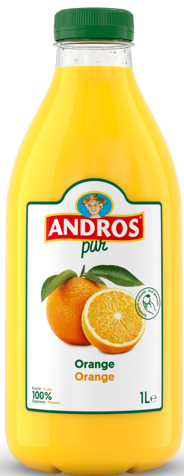Andros Orangensaft 1l
