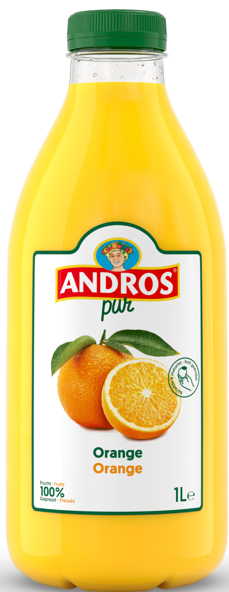 Andros Orangensaft 1l